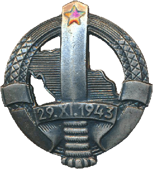 Нагрудный знак Пограничные войска 
