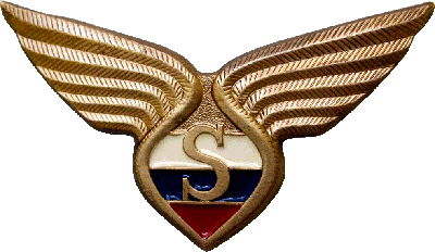 Знак Бортпроводник