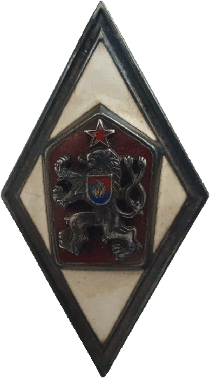 Нагрудный знак Военная академия 