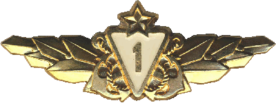 Нагрудный знак Специалист 1 класса дунайской флотилии 
