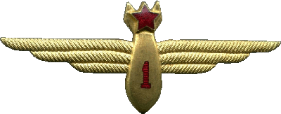 Нагрудный знак Штурман 1 класса 