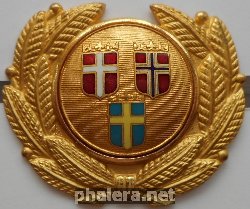 Нагрудный знак Кокарда SAS 