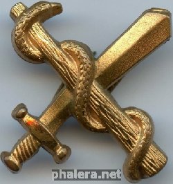 Нагрудный знак Интендант 