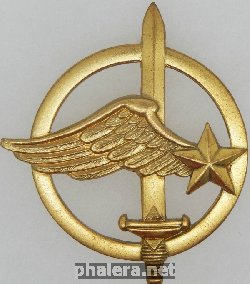 Нагрудный знак Парашютисты 
