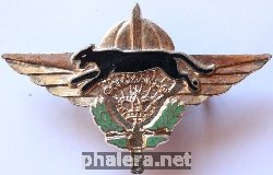 Нагрудный знак Командос 