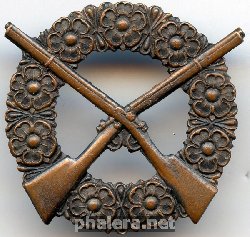 Нагрудный знак За стрельбу из винтовки 3 степени(бронзовый) 