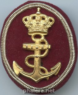 Нагрудный знак ВМС 