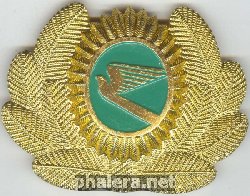 Нагрудный знак Кокарда Туркменские авиалинии 