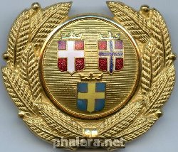 Нагрудный знак Кокарда SAS 