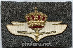 Знак Пилот
