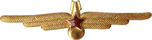 Нагрудный знак Штурман 