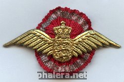 Нагрудный знак Кокарда на пилотку 