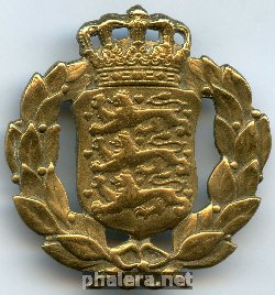 Нагрудный знак Кокарда 