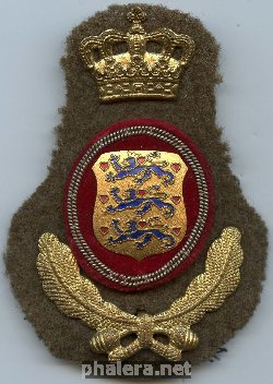 Нагрудный знак Кокарда уорент офицера 