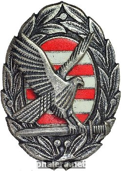 Нагрудный знак Военная академия 