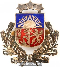 Нагрудный знак Полиция 