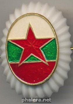 Нагрудный знак Кокарда фарфоровая 