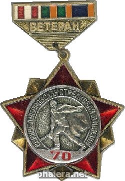 Нагрудный знак Ветеран 70-й Верхнеднепровской стрелковой дивизии 