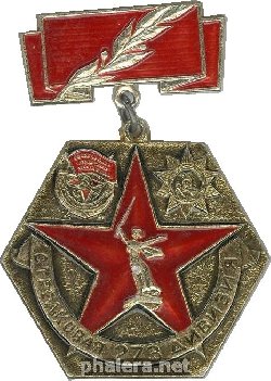 Нагрудный знак Ветеран 273 стрелковой дивизии 