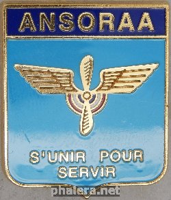 Знак 50 лет национальной ассоциации сержантов резерва ВВС