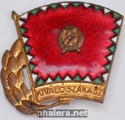 Знак Отличный взвод