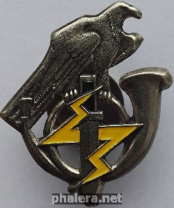 Нагрудный знак Кокарда батальона 