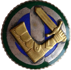 Нагрудный знак ЗА ЗАСЛУГИ ШУЦКОРА 