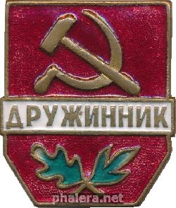 Нагрудный знак Дружинник  