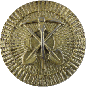 Нагрудный знак Сапер 