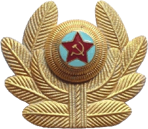 Нагрудный знак Кокарда офицерская ВВС 