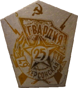 Нагрудный знак 49 Гвардейская Стрелковая Дивизия 