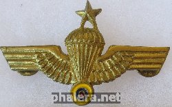 Знак Старший парашютист