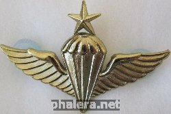 Нагрудный знак Старший парашютист морской пехоты 