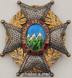 Нагрудный знак Национальный орден за заслуги 