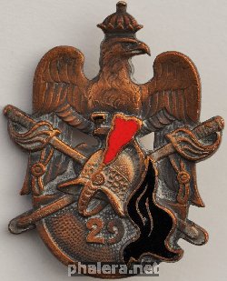 Нагрудный знак 29ый полк драгун 