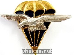 Нагрудный знак Парашютист 