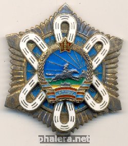 Нагрудный знак Орден Полярная звезда 