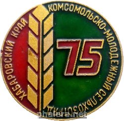 Знак Комсомольско-молодежный сельхозотряд Хабаровский край 75 Знак Комсомольско-молодежный сельхозотряд Хабаровский край 75