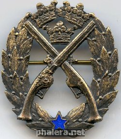 Нагрудный знак За стрельбу из пистолета, серебряная степень 