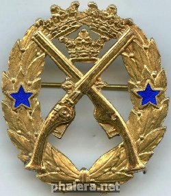 Знак За стрельбу из пистолета, 2 звезды Знак За стрельбу из пистолета, 2 звезды