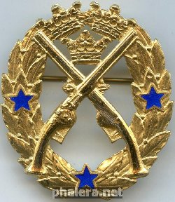 Нагрудный знак За стрельбу из пистолета, 3 звезды 