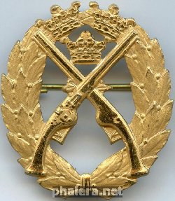 Нагрудный знак За стрельбу из пистолета, золотая степень 