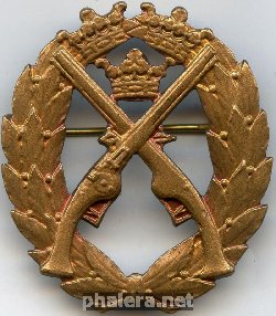 Знак За стрельбу из пистолета, бронзовая степень Знак За стрельбу из пистолета, бронзовая степень