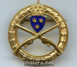Знак Стрельба из пистолета, золотой Знак Стрельба из пистолета, золотой