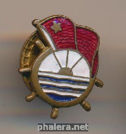 Нагрудный знак ДСО Водник 