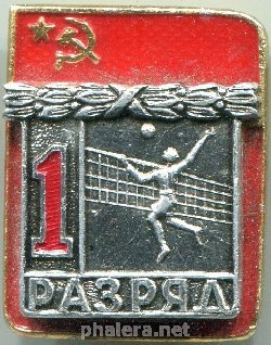 Знак 1 разряд, волейбол
