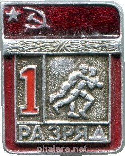 Нагрудный знак 1 разряд, борьба 