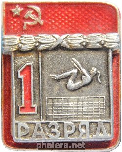 Знак 1 разряд Прыжки на батуте.
