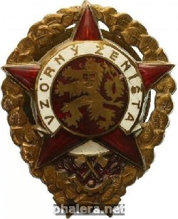 Знак Отличный сапер