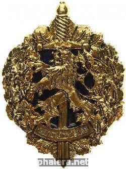 Знак Генеральный штаб, золотистый